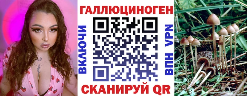 Псилоцибиновые грибы мицелий  закладки  Сокол 